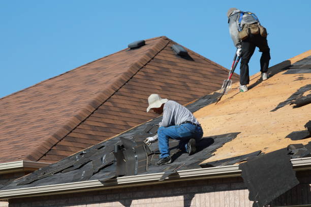 Best Roof Insulation Installation  in Fountain, CO