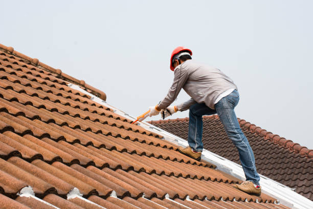 Best Metal Roofing Installation  in Fountain, CO