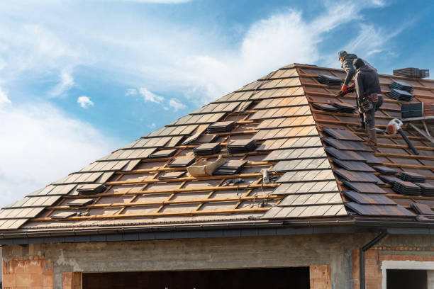 Best Metal Roofing Installation  in Fountain, CO