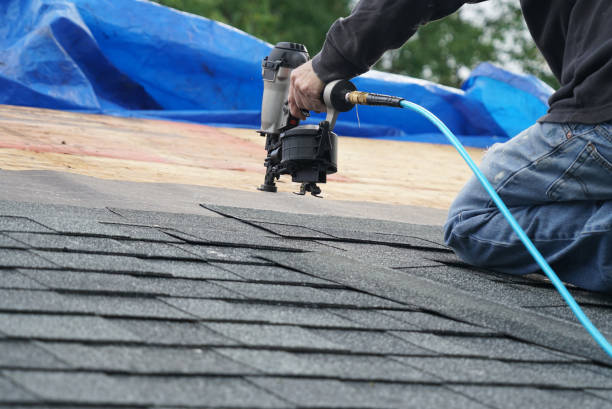 Best Gutter Replacement  in Fountain, CO